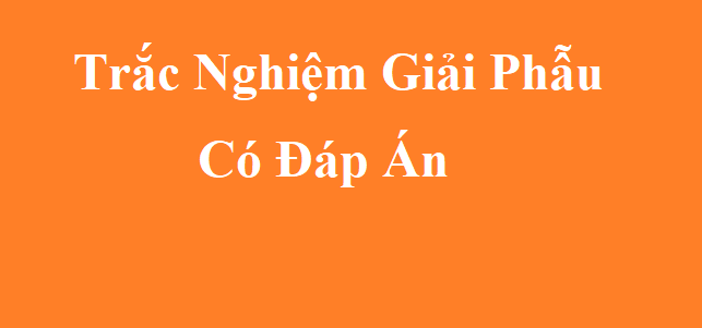 Trắc Nghiệm Giải Phẫu Bệnh Có Đáp Án