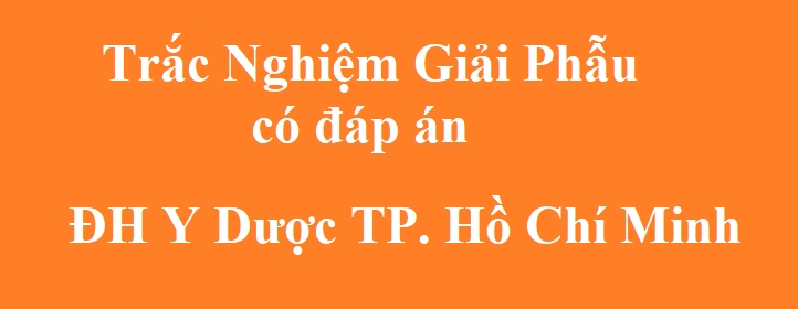 Trắc Nghiệm Giải Phẫu Có Đáp Án – ĐH Y Dược TP. Hồ Chí Minh