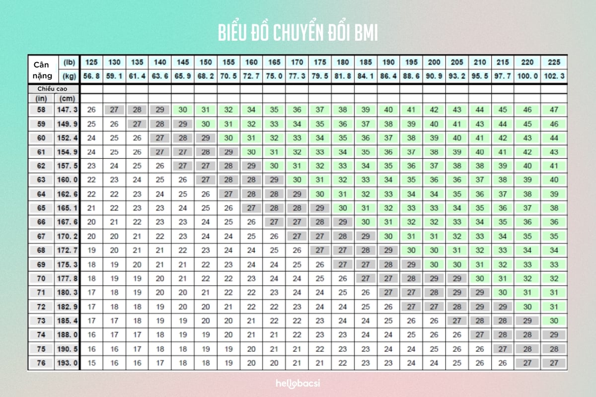 Biểu đồ chuyển đổi chỉ số khối BMI