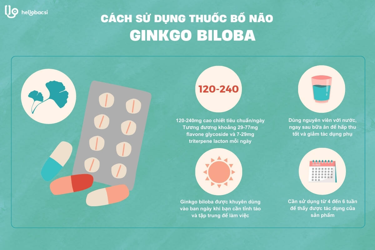 Cách sử dụng thuốc bổ não ginkgo biloba