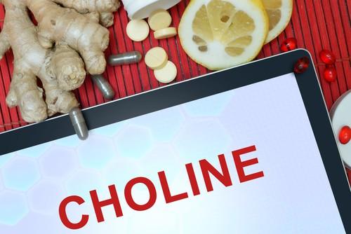choline Choline