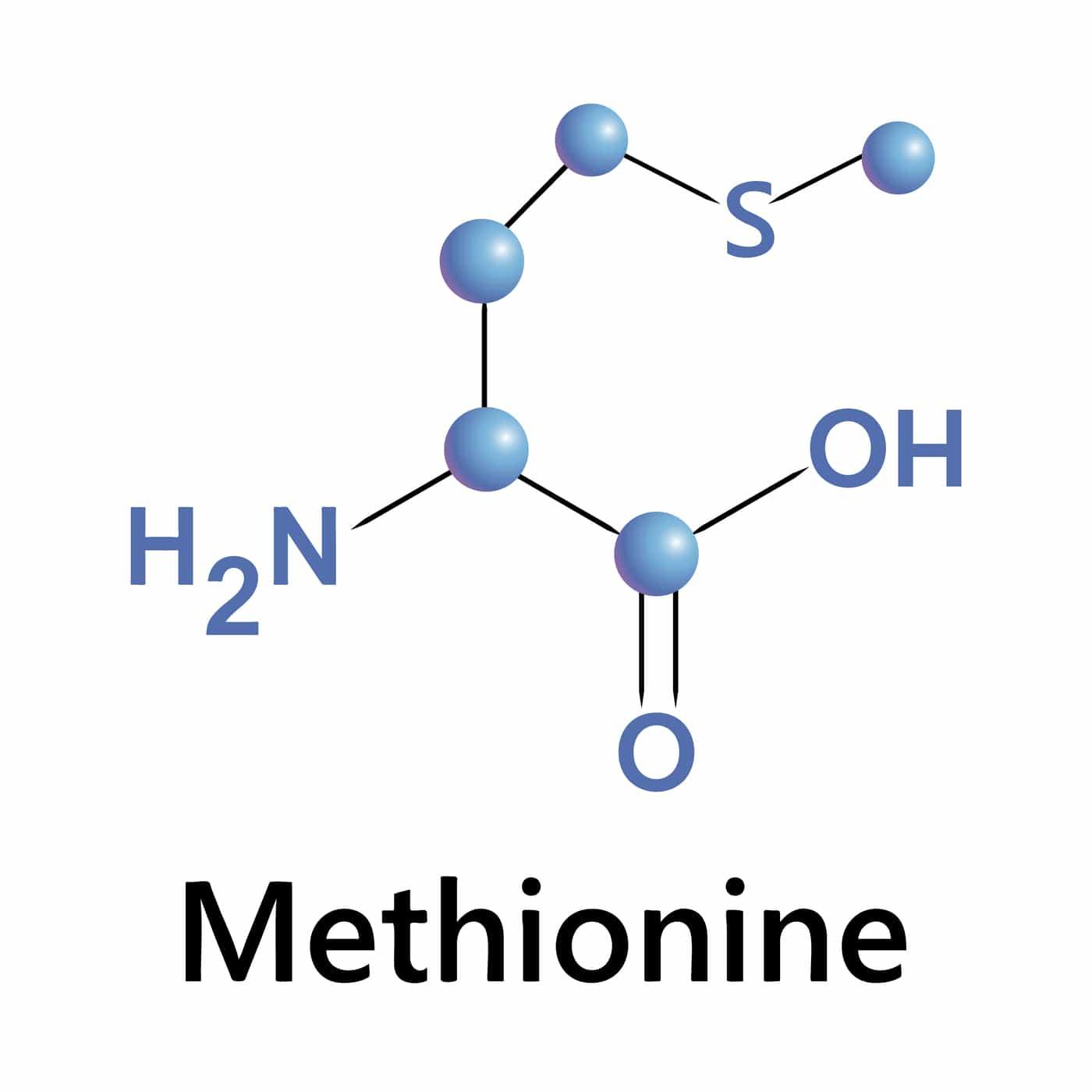 methionine Methionine