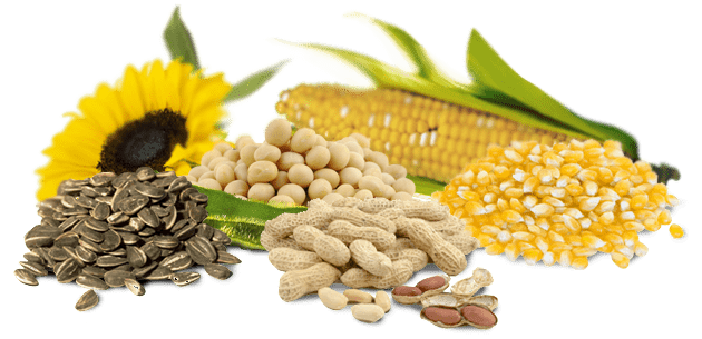 Omega 6